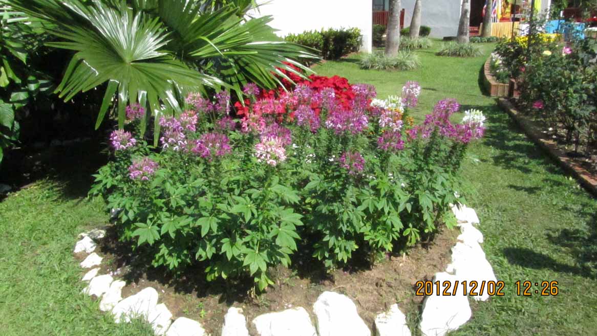 Phradhumnak 07.JPG 141.6K